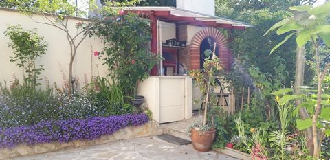photo no. 13