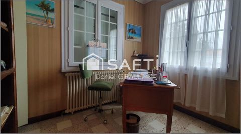 photo no. 6