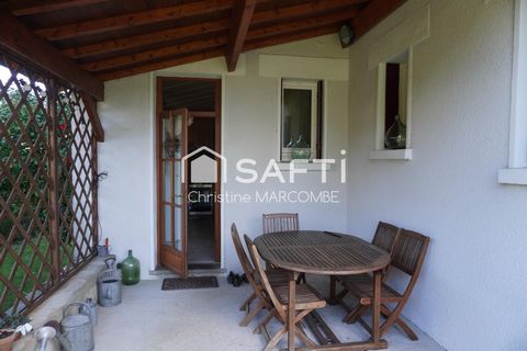 photo no. 11