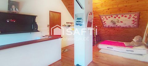 photo no. 10