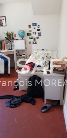 photo no. 12