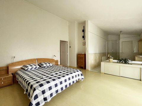 photo no. 7