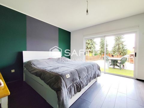 photo no. 11