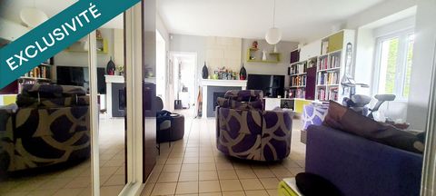 photo no. 10