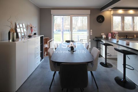 photo no. 6