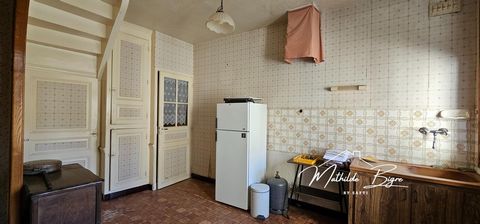 photo no. 8