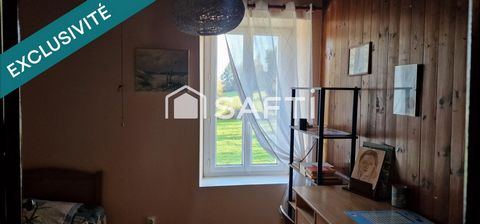 photo no. 11