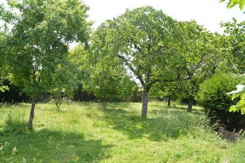 photo no. 16