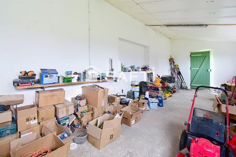 photo no. 11