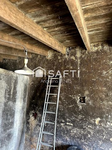 photo no. 10