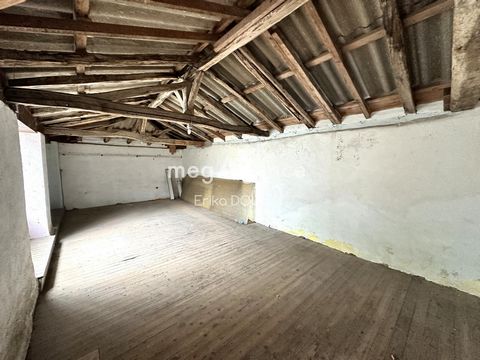 photo no. 13