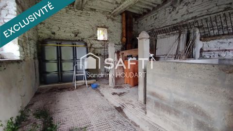 photo no. 13
