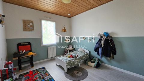 photo no. 7