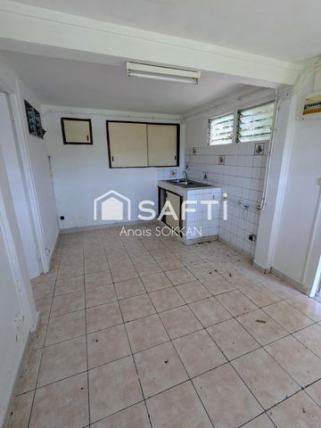 photo no. 10