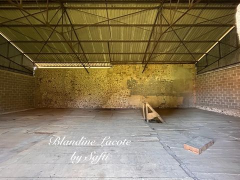 photo no. 11