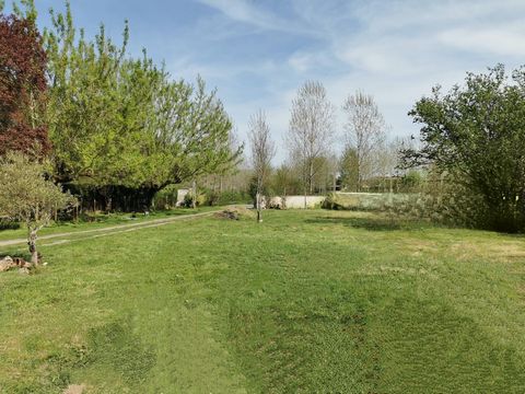 photo no. 13