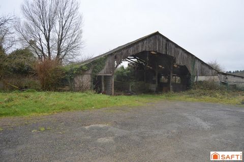 photo no. 17