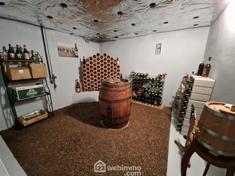 photo no. 11