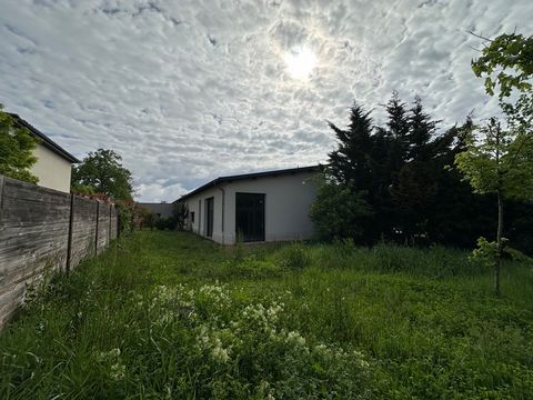 photo no. 1
