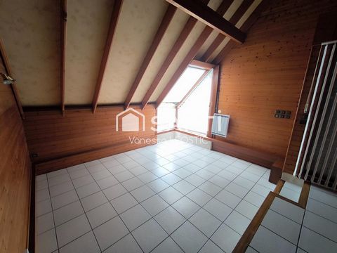 photo no. 5
