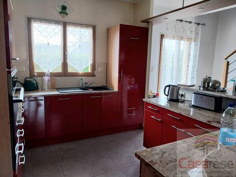 photo no. 7