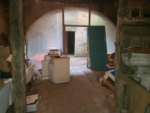 photo no. 12