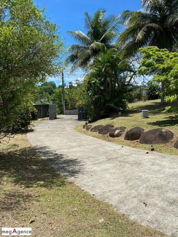 photo no. 1