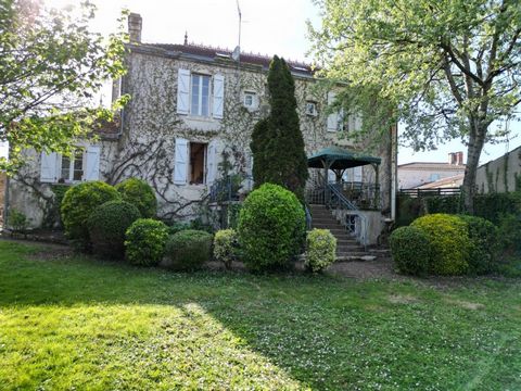 photo no. 10