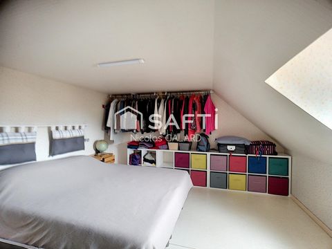 photo no. 8