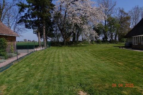 photo no. 12