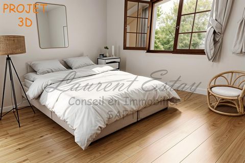 photo no. 9