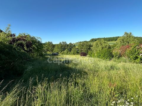 Terrain à vendre NEUNKIRCHEN LES BOUZONVILLE (57), à viabiliser
