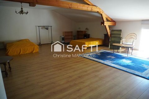 photo no. 10