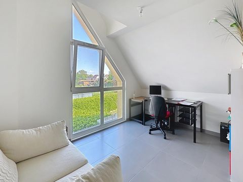 photo no. 13
