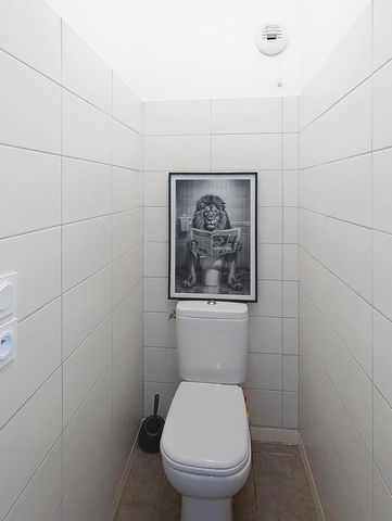 photo no. 6
