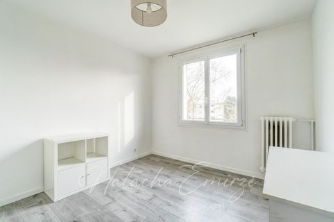 photo no. 10