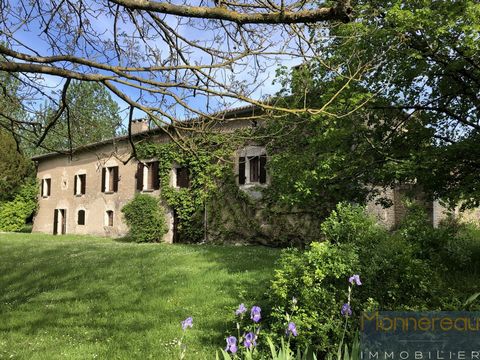 AUBETERRE sector (16) - 40 minutes south of Angoulême - On the banks of the Dordogne. It is at the end of a majestic alley of 72 walnut trees that we discover this old mill converted into a house full of history. Built at the beginning of the sevente...