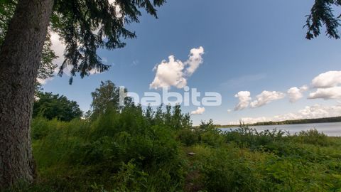 We offer a unique piece of land in a beautiful location - right on the shore of Lake Jugla, near Riga.The property has large, majestic trees that create a park feel. The large area allows the construction of at least four houses.Infrastructure is dev...