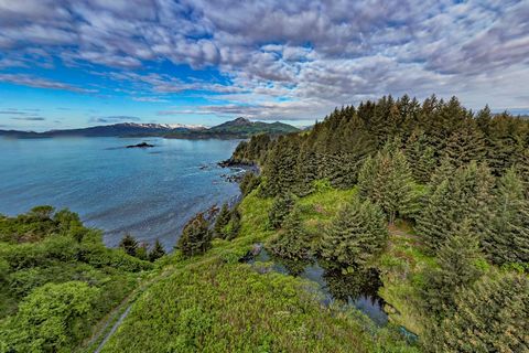 The Cliffs at Cliff Point Estates ligger inbäddat bland höga granskogar med havslandskapet bortom, och har enastående utsikt och ett unikt Alaska-liv. Snötäckta berg, täta skogar, steniga klippor, ängar med vilda blommor och kuststränder utgör det fa...