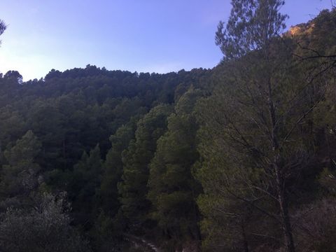 Finca five minutes from the town of Pauls House to reform a ground floor plus two floors in total 90 m2 Production of olive trees carob trees and pine trees There is no water and no electricity Sunny and very quiet