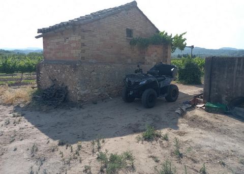 Mooi perceel aan de rivier de Ebro in Ginestar met een schuur van 20m2 voor opslag Het heeft een eigen waterput en is beplant met een wijngaard die jaarlijks ongeveer 12000 kg aan druiven produceert