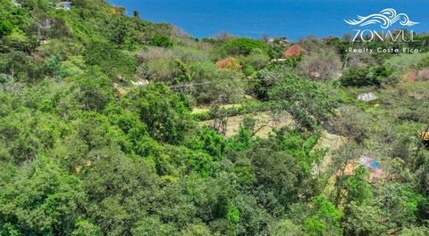 Découvrez une opportunité exceptionnelle au cœur de Montezuma, au Costa Rica. Cette propriété méticuleusement entretenue bénéficie d’un emplacement stratégique alliant commodité et beauté naturelle. Situé à côté de la pittoresque rivière de Montezuma...