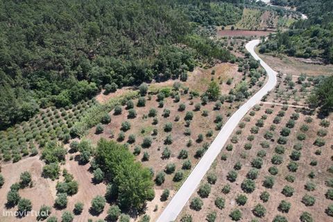 Mark med en yta på 6052m2, som ligger 15 minuter från Leira och cirka 10 minuter från staden Ourém. Mark med god sol exponering, mycket bördig som har odlats i flera år av olika generationer av ägarna, där det finns cirka 70 olivträd. Dess tillgängli...