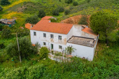 Identificação do imóvel: ZMPT565814 Rural paradise, with 1.7 hectares and a big house close to the city of Silves Here you can live in harmony with nature, grow fresh food and enjoy a more serene lifestyle, whilst still benefiting from urban convenie...