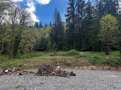 Bring your vision and build your dream home on this 3.32 acre blank canvas with trees, already had a septic system, and a shared well with only 1 home on it. All the details has been meticulously crafted to create a sanctuary of luxury, comfort, and ...
