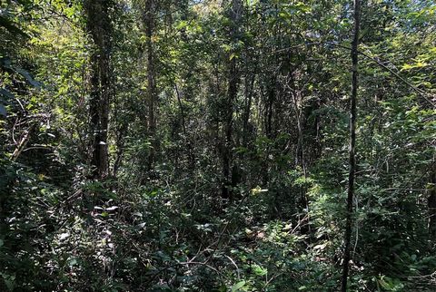 Stunning Property! Land In Belize Are you looking for a property in a quiet area covered in lush jungle?  Then you will love this charming Land in Belize! This stunning 113 acre parcel of jungle terrain located in the beautiful Cayo District, 3 miles...