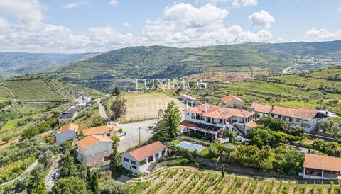 Un magnifique domaine viticole situé à Sande, à 5 minutes du centre de la belle ville historique de Lamego et à environ 10 minutes de la ville de Peso da Régua et du fleuve Douro. Cette propriété se compose d'un vignoble officiel Doc Douro de 2,6 hec...