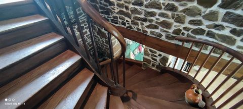 photo no. 13