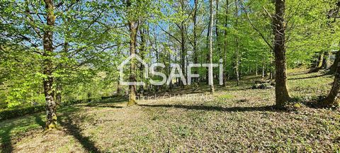 Building land of 4800 m² - Laguenne 19150 Wooded land offering a lovely view, dominant location, collective sanitation, 3 minutes from the heart of town This pleasant wooded area is on the heights of Laguenne, a quiet area, offering a lovely view fro...