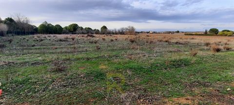 In der Stadt Portiragnes, einem Dorf in der Nähe des Meeres zwischen Agde und Beziers, gelegen, wird landwirtschaftliches Land von 4373 m² mit der Möglichkeit einer Wasserversorgung aus der Bas Rhone verkauft. Für weitere Informationen rufen Sie Cath...